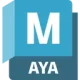 AYA